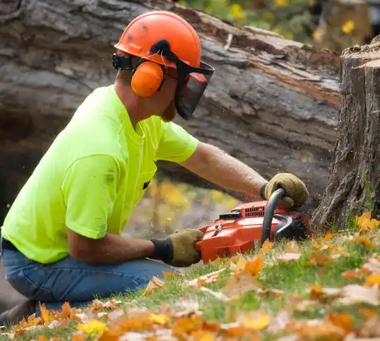 tree services Axtell